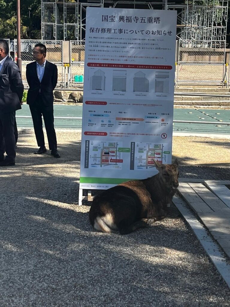 Pagoda de cinco pisos del templo Kofuku-ji, lo primero que ver en Nara